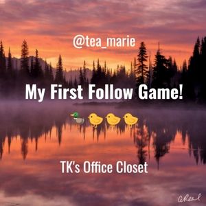 🦆🐤🐤🐤 1st Follow Game!!